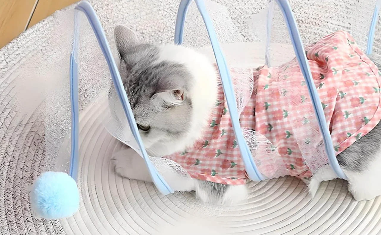 Crinkle Cat Tunnel for Sensory Play