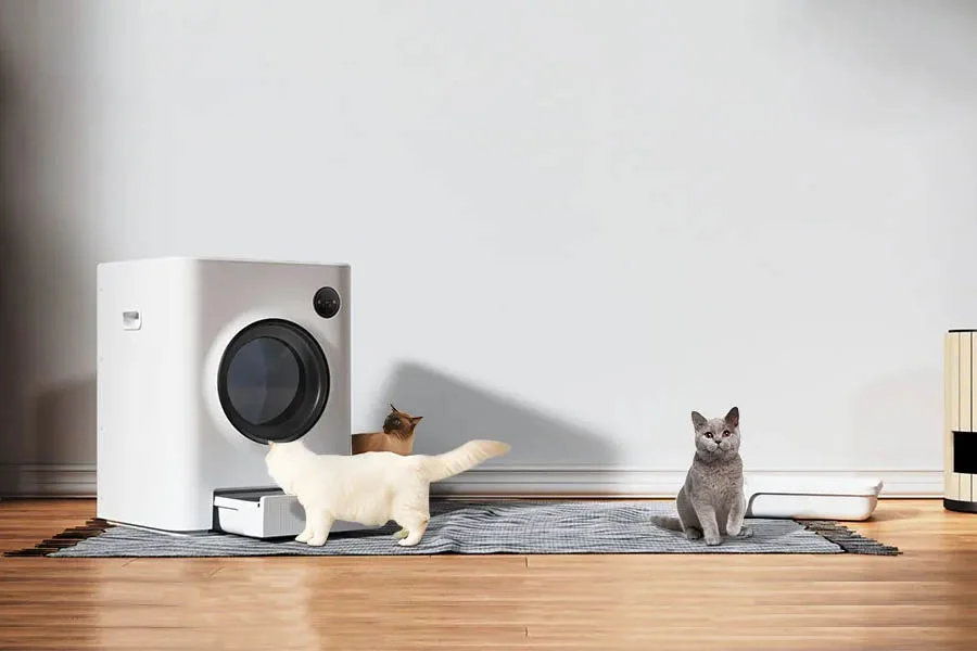 best no smell cat litter box